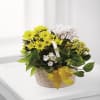 A Bit of Sunshine Basket by FTD Online