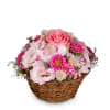 A Flower Greeting in Delicate Colors Online