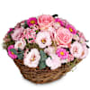 A Flower Greeting in Delicate Colors Online