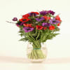 Anemone coronarias bouq Online