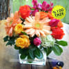 Arrangement of Cut Flowers Online