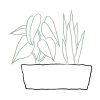 Arrangement of Plants Online