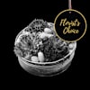 Arrangement of Plants - Florist’s Choice Online
