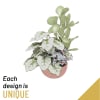 Arrangement of Plants in a Bowl Online