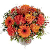 Autumn colors Online