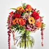 Autumn Dream Online