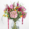 Autumn Harmony Online