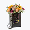 Autumn Warm small 240401 Online