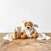 Bathtime Baby Gift Hamper Online