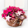 Beautiful Poinsettia Arrangememt Online