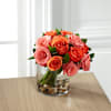 Blazing Beauty Rose Bouquet Online