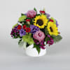 Blossom Delight Online