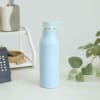 Bottle - Cup Handle - Matte - Assorted - Single Piece Online