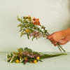 Bouquet, Florist's Choice Online