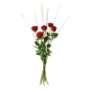 Bouquet of 5 red roses Online