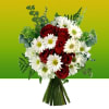 Bouquet of Cut Flowers Online