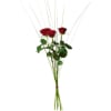 Bouquet with 3 red roses Online