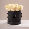 Box of Cream Roses Online