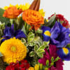 Gift Bright and Bold Posy