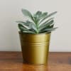 Bucket Planter Online