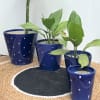 Shop Bucket Planter - Blue Dots - Set Of 4