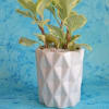 Checkered White Planter Online