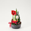 Christmas Amaryllis Ornament Online