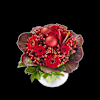 Christmas Bouquet Noella Online
