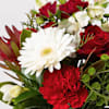 Buy Christmas Posy
