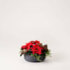 Classic Christmas, small Online