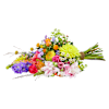 Colour splendor Online