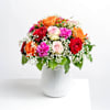 Colourful and refined Online