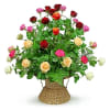 Colourful basket composition Online