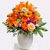 Colourful Summer Online