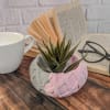 Concrete Ribbon Planter Online