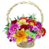 Congratualtions flowers Online