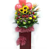 Congratulations Grand Opening Mixed Colours Online