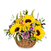 Consolation full of light-for the cemetery Online