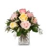 Cordial Rose Greeting Online