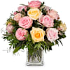 Cordial Rose Greeting Online