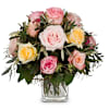 Cordial Rose Greeting Online