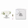 Cote Noire Five Roses - Ivory White Online