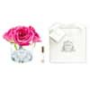 Cote Noire Five Roses - Magenta Online
