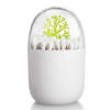 Cotton Bud Holder Online