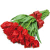 Cupid flowers Online