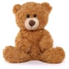 Cute Teddy Online