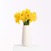 Daffodils Online