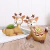 Buy Deer Planter - Assorted - Single Piece