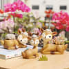 Deer Planter - Assorted - Single Piece Online