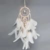 Dreamcatcher With LED Lights - Single Piece Online